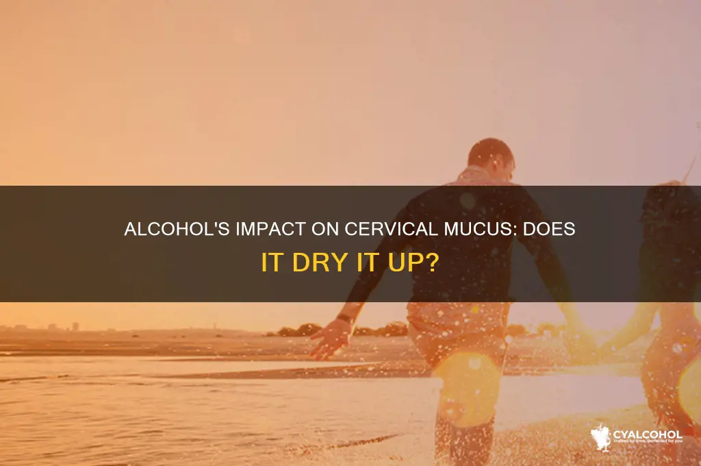 does alcohol dry up cervical mucus