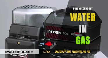 Does Alcohol in Gasoline Affect Engine Hydration and Performance?