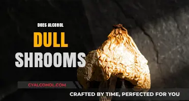 Alcohol and Shrooms: How Mixing Affects Psychedelic Experiences and Intensity