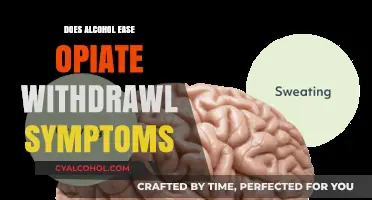 Alcohol and Opiate Withdrawal: Risky Relief or Dangerous Myth?