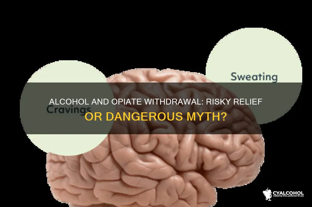 does alcohol ease opiate withdrawl symptoms