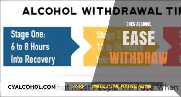 Alcohol Withdrawal: Does Drinking Ease Symptoms or Worsen Recovery?