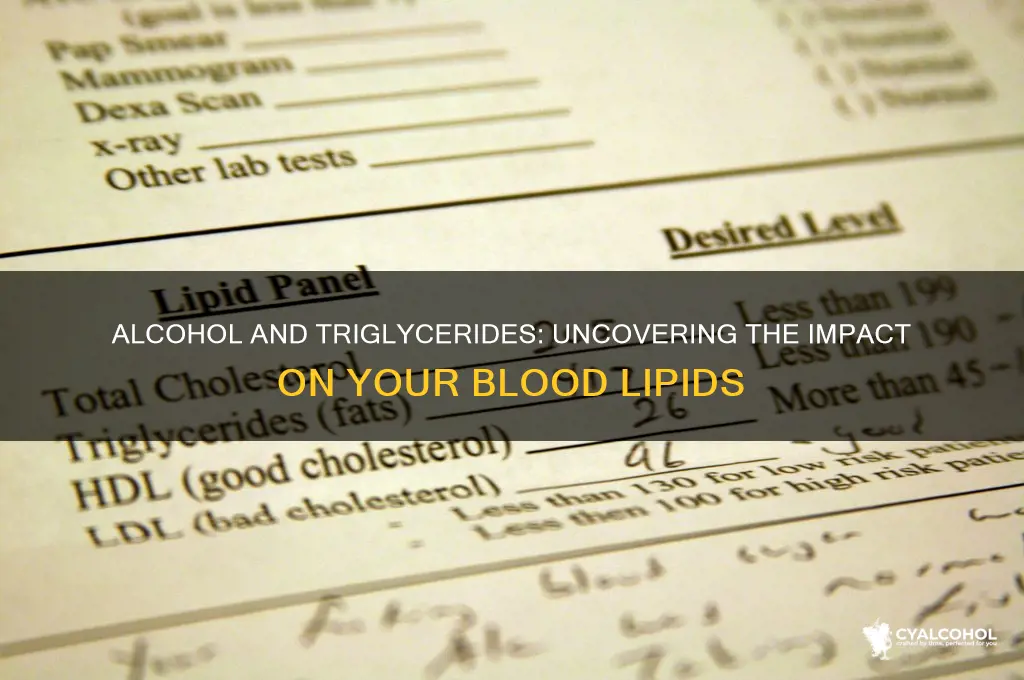 does alcohol elevate triglycerides