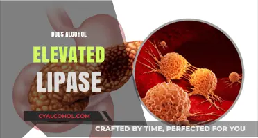 Alcohol and Lipase: Understanding the Link to Elevated Enzyme Levels