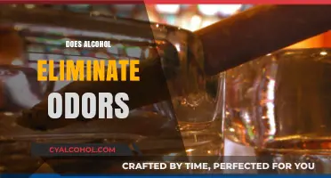 Can Alcohol Really Remove Odors? Surprising Facts Revealed