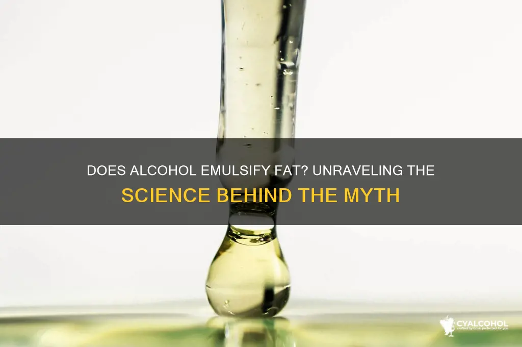 Does Alcohol Emulsify Fat? Unraveling The Science Behind The Myth ...