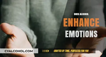 Alcohol and Emotions: Does Drinking Amplify Feelings or Cloud Them?