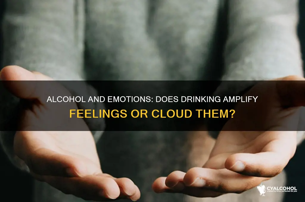 does alcohol enhance emotions