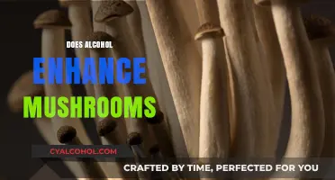 Alcohol and Mushrooms: Unraveling the Effects of Mixing the Two