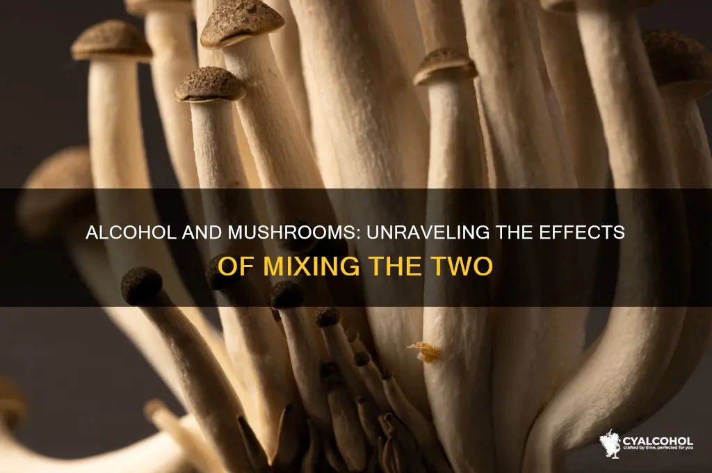 does alcohol enhance mushrooms
