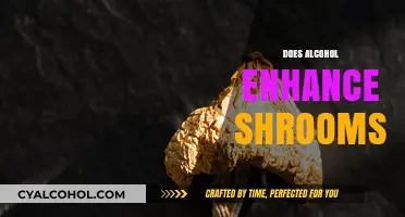 Alcohol and Shrooms: A Risky Mix or Enhanced Experience?