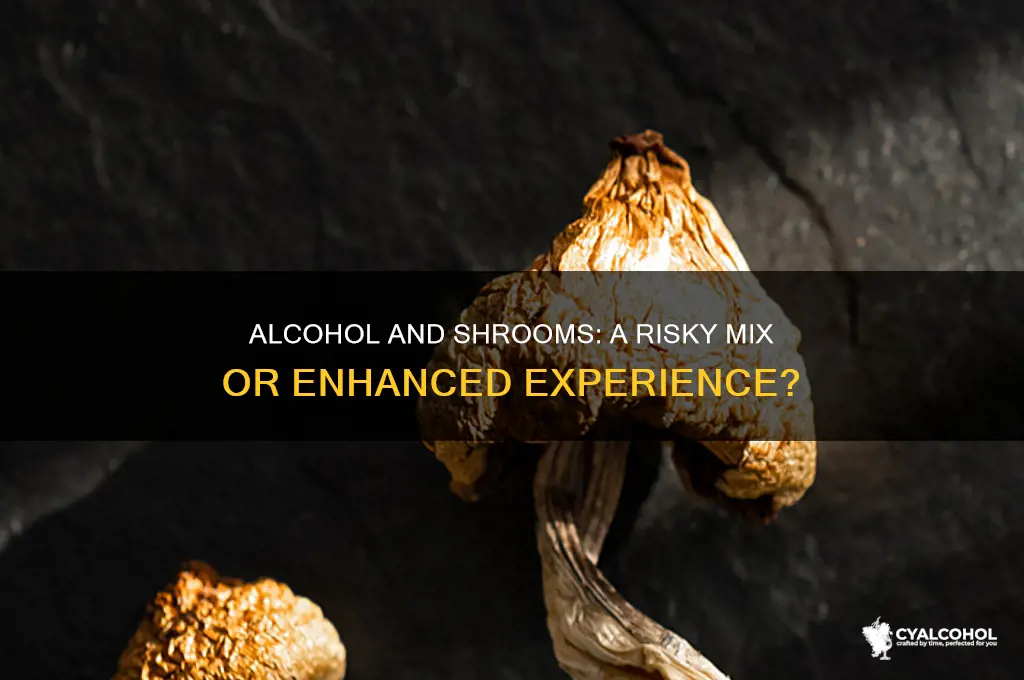 does alcohol enhance shrooms