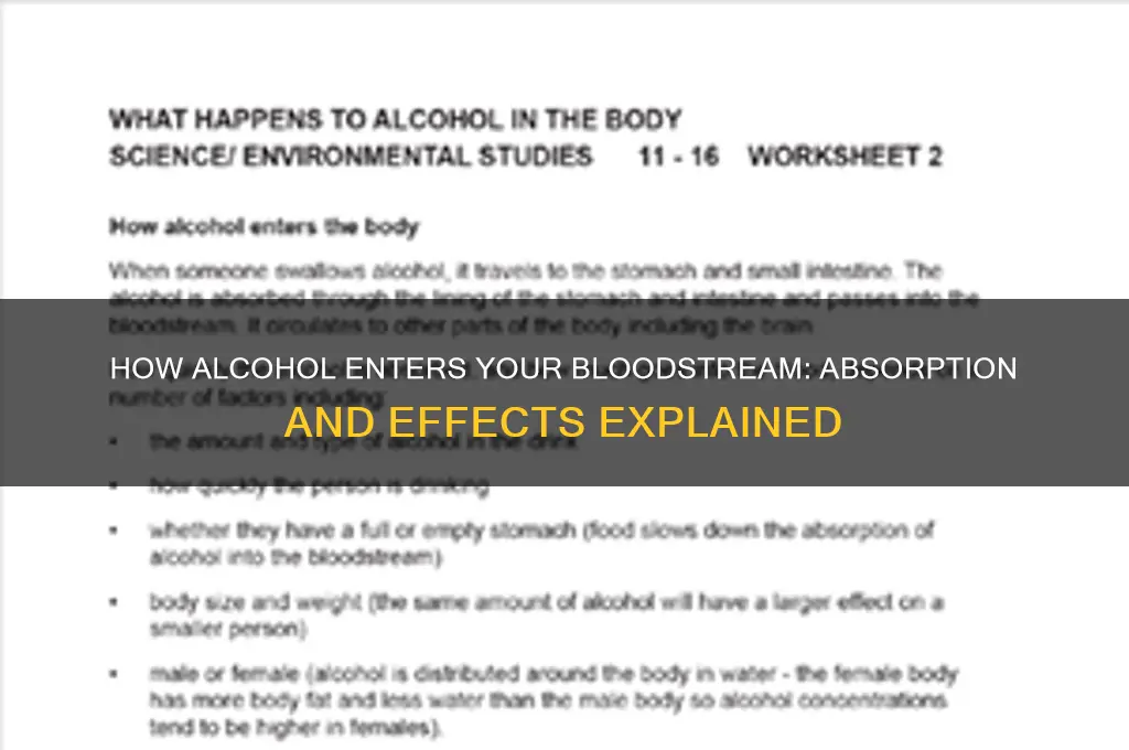 does alcohol enter bloodstream