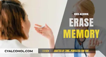 Alcohol and Memory Loss: Unraveling the Truth Behind Forgotten Nights
