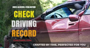 Does Alcohol Evaluation Check Driving Record? What You Need to Know