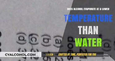 Alcohol Evaporation: Faster Than Water?