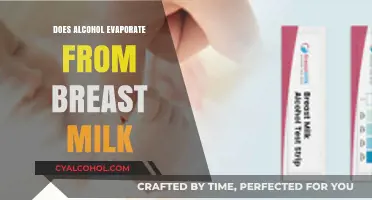 Alcohol in Breast Milk: Does It Evaporate? Facts for Moms