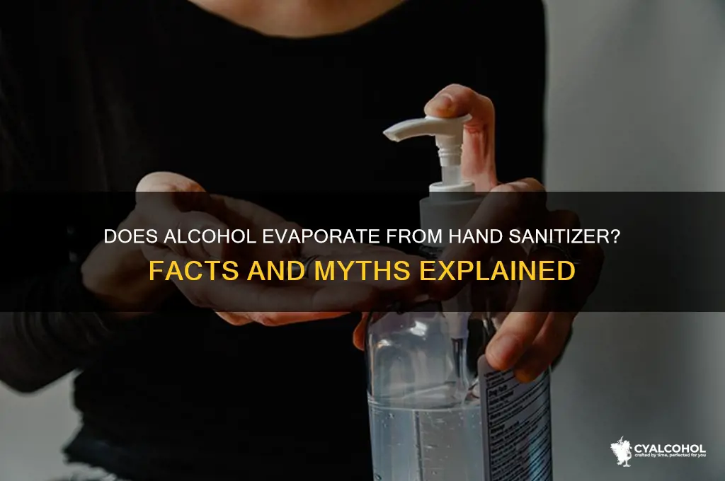 does alcohol evaporate from hand sanitizer