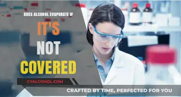 Uncovered Alcohol: Does It Evaporate When Left Open?
