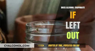 Does Alcohol Evaporate When Left Out? The Surprising Truth Revealed