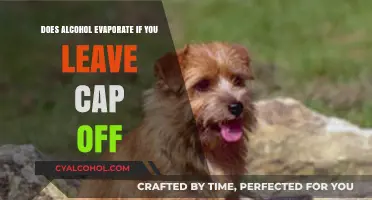 Does Alcohol Evaporate When Left Uncapped? Facts and Insights