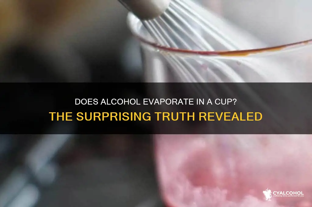 Does Alcohol Evaporate In A Cup? The Surprising Truth Revealed | CyAlcohol