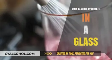 Does Alcohol Evaporate in a Glass? The Surprising Truth Revealed