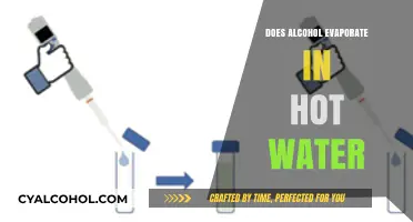 Does Alcohol Evaporate in Hot Water? The Science Explained