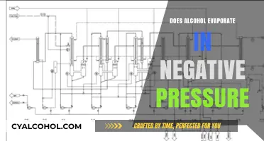 Alcohol Evaporation in Negative Pressure: Myth or Scientific Fact?