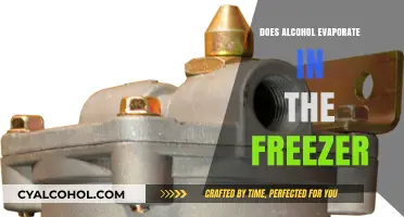 Does Alcohol Evaporate in the Freezer? The Chilling Truth Revealed
