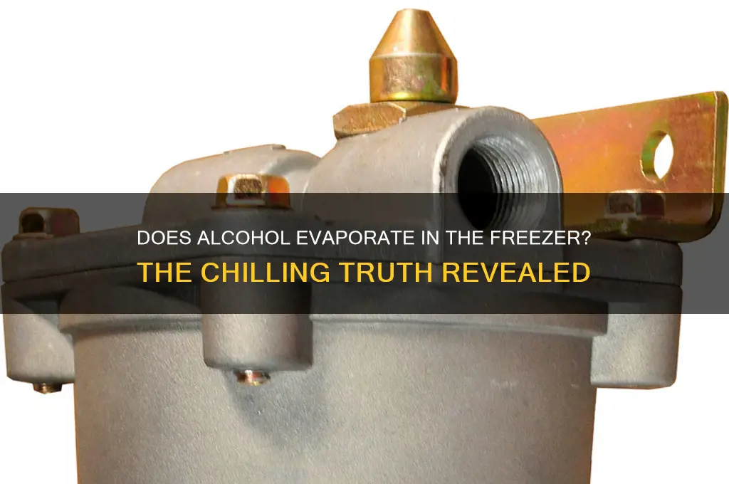 does alcohol evaporate in the freezer
