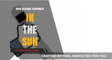 Does Alcohol Evaporate in the Sun? Exploring the Science Behind It