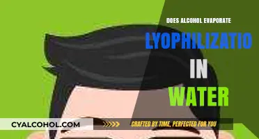 Does Alcohol Evaporate During Lyophilization in Water? Exploring the Process