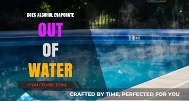 Does Alcohol Evaporate from Water? Uncovering the Science Behind It