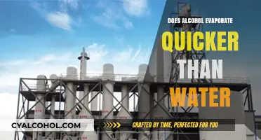 Alcohol vs. Water: Which Evaporates Faster and Why?