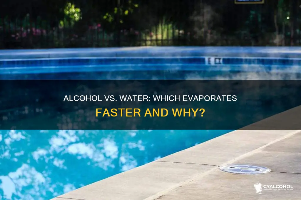 does alcohol evaporate quicker than water