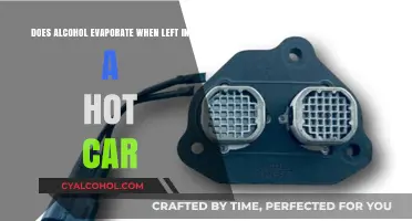 Hot Car, Evaporating Alcohol: What's the Science?