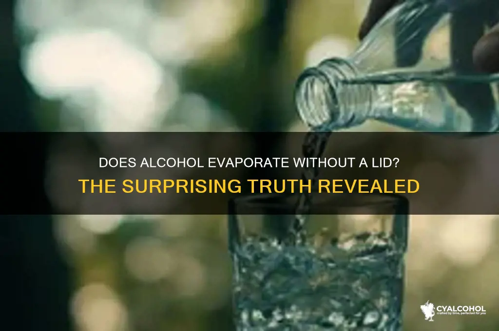 does alcohol evaporate with no lid