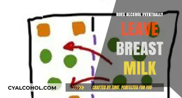 Alcohol in Breast Milk: How Long Does It Really Last?