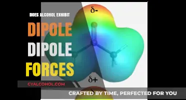 Does Alcohol Exhibit Dipole-Dipole Forces? Exploring Molecular Interactions