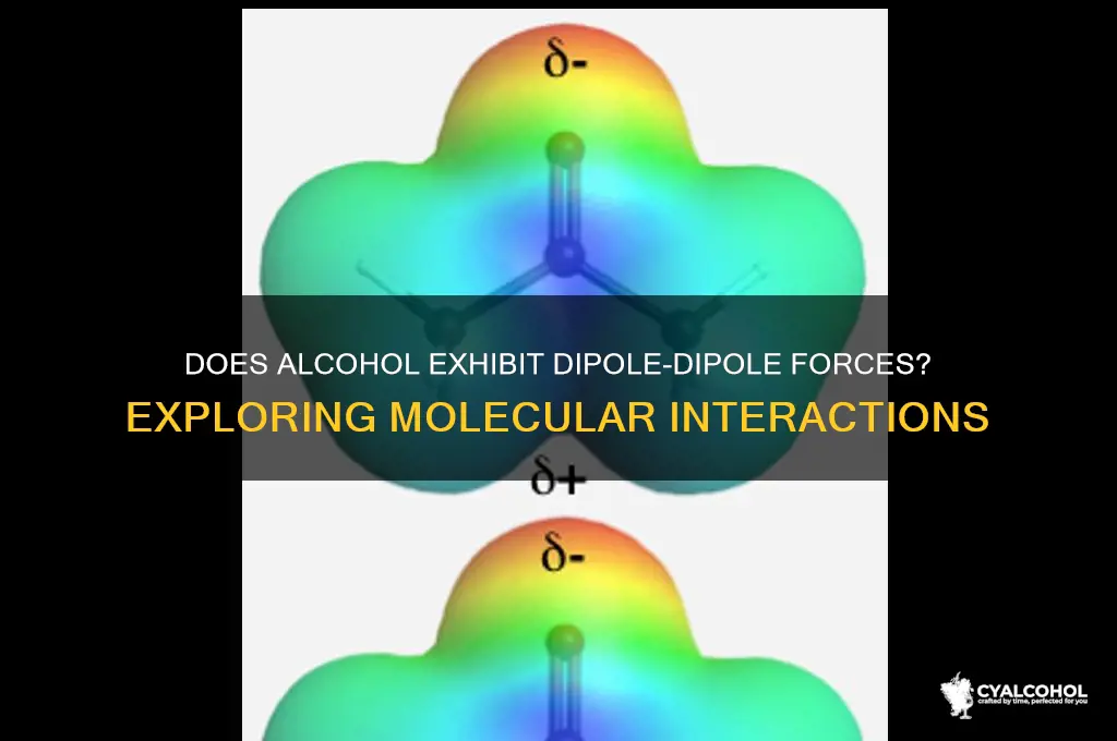 does alcohol exhibit dipole dipole forces