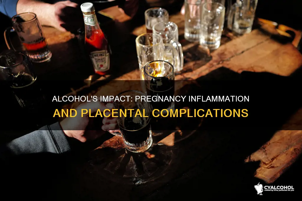 does alcohol exposure induce pregnancy inflammation and placental complications