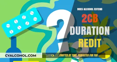 Alcohol and 2C-B: Does Mixing Extend the Trip Duration?