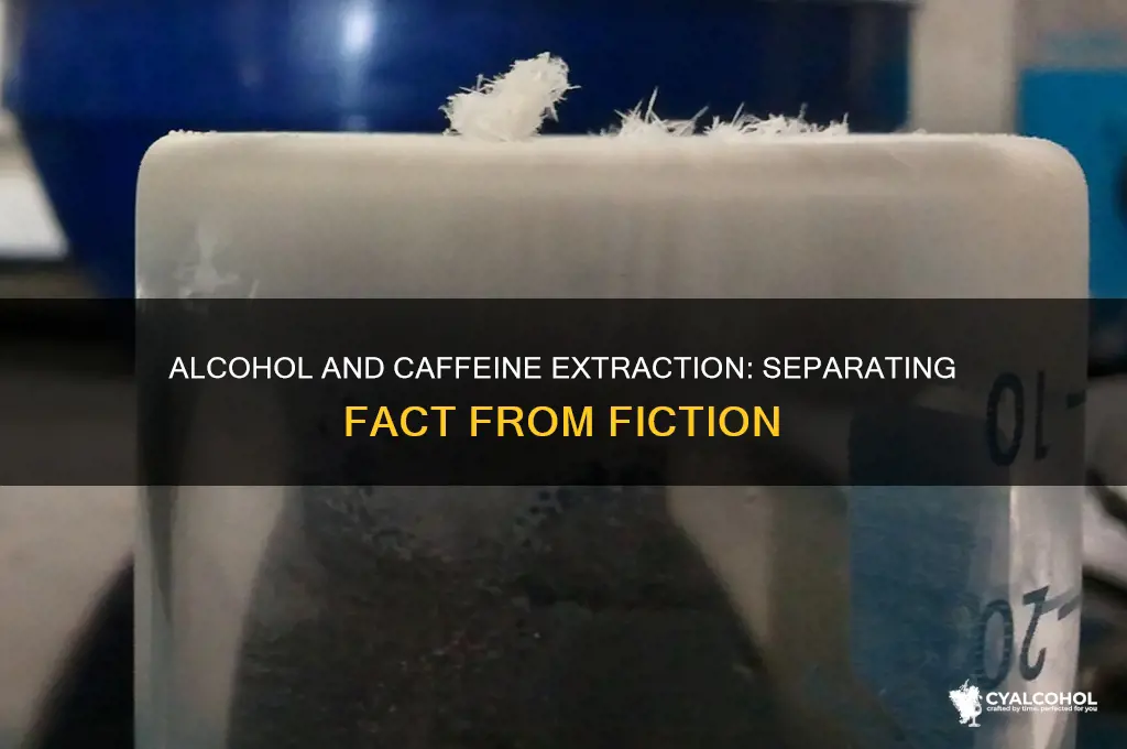 does alcohol extract caffeine