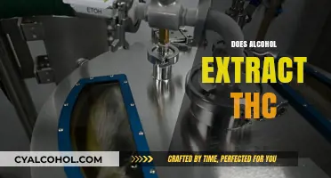 Can Alcohol Extract THC? Exploring the Science and Methods