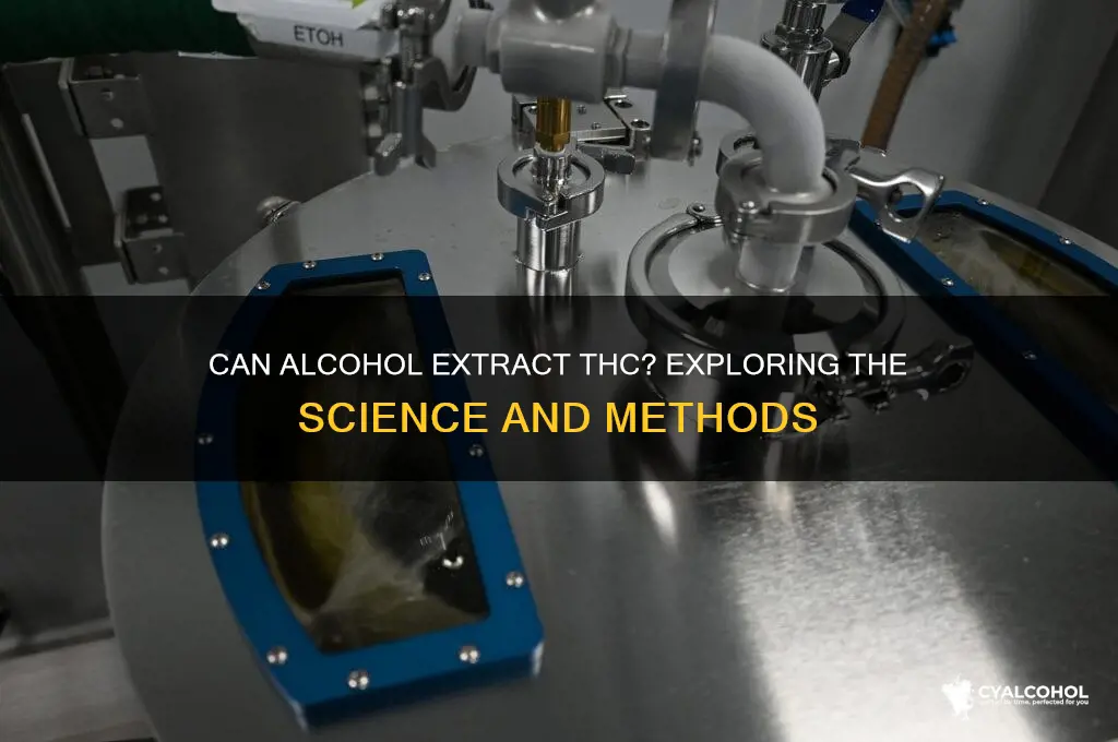 does alcohol extract thc