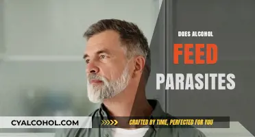 Alcohol and Parasites: Uncovering the Hidden Connection in Your Gut