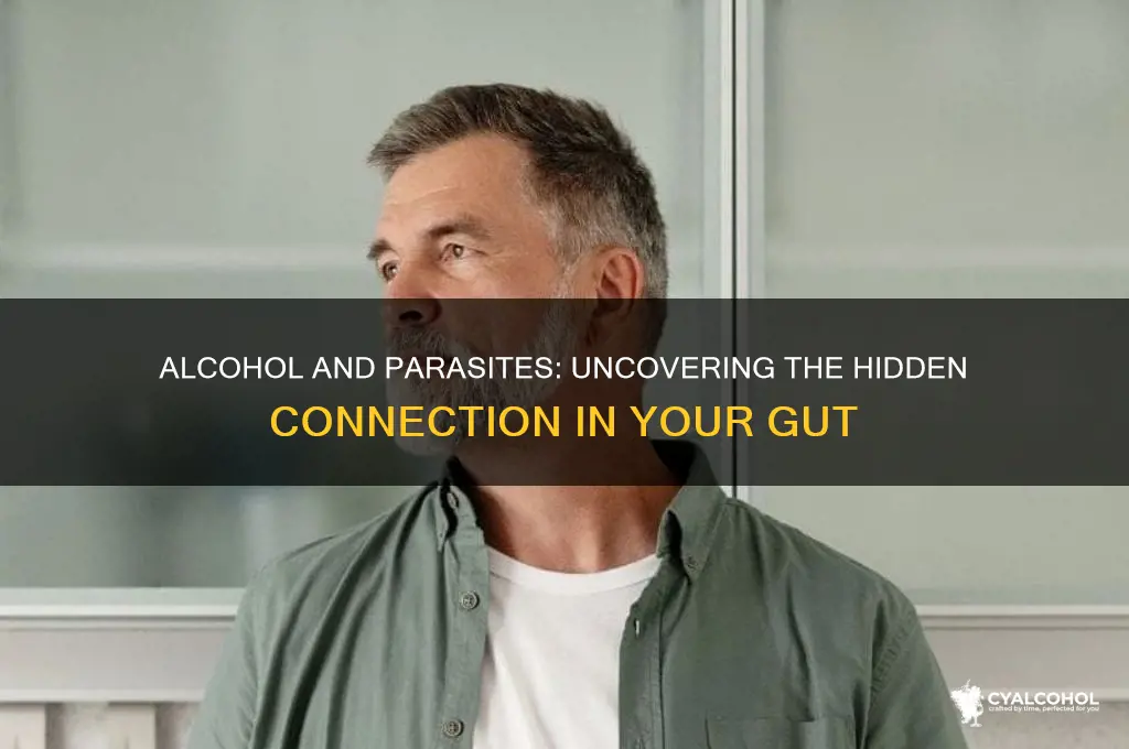 does alcohol feed parasites