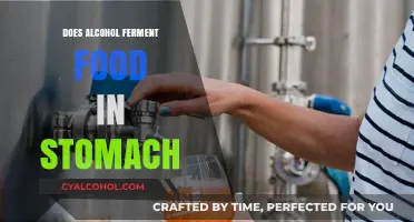 Does Alcohol Ferment Food in Your Stomach? Debunking the Myth