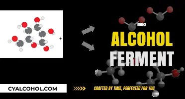 Does Alcohol Ferment? Unveiling the Science Behind Fermentation Process